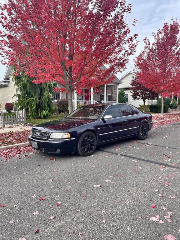 2001 Audi S8 For Sale in Toronto, ON | Canada