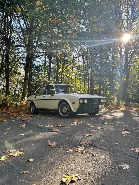 1979 Alfa Romeo Alfetta For Sale in Bellingham, WA | USA