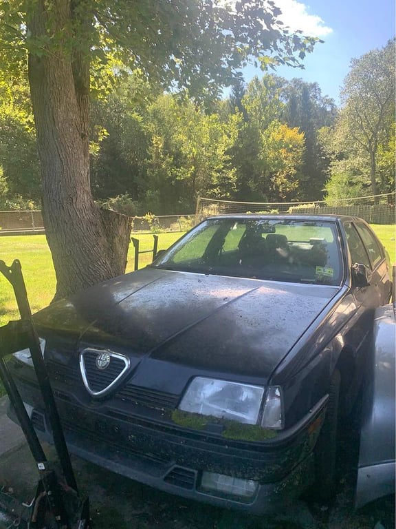 1991 Alfa Romeo 164 S For Sale in Livingston, NJ | USA