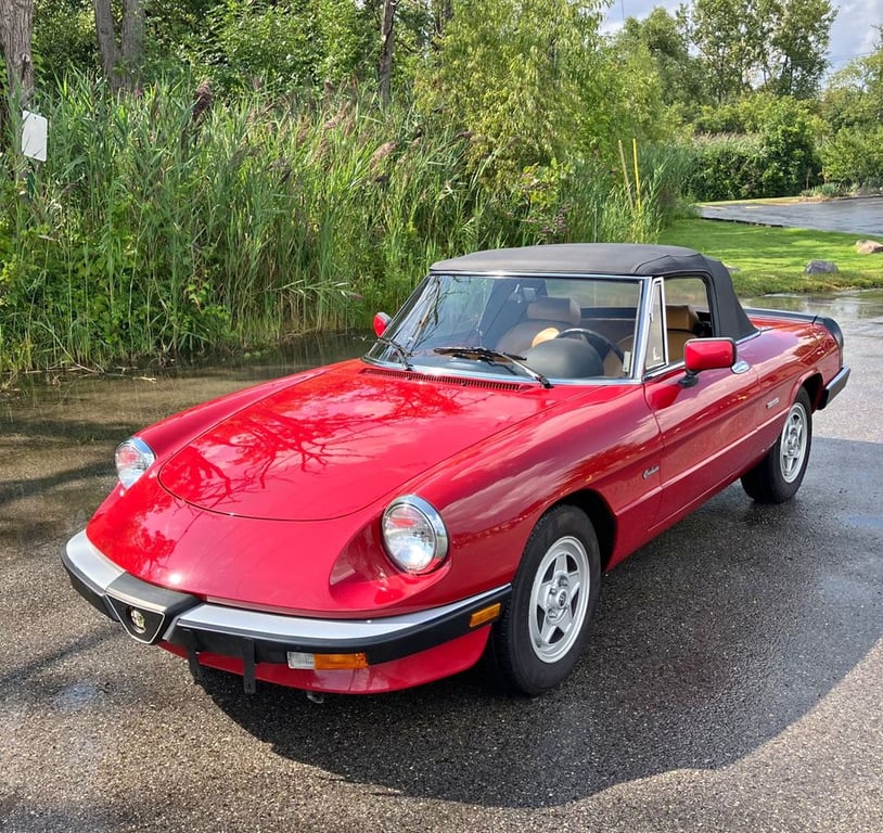 1990 Alfa Romeo Spider For Sale in Lake Bluff, IL | USA